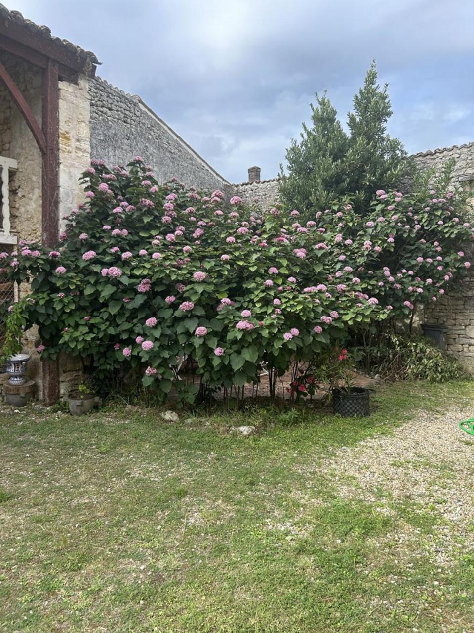 Chambres Et Table D'Hotes Maison Garesche Nieulle-sur-Seudre Exterior photo
